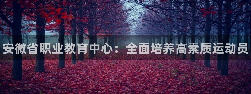 JJB竞技宝官网下载平台注册要钱吗安全吗:安微省职业教育中心