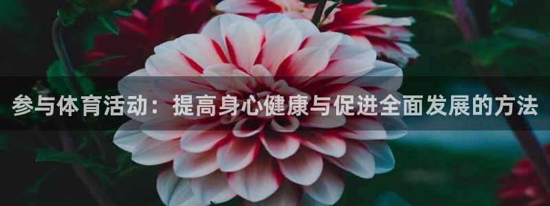 JJB竞技宝官方正版app新能源:参与体育活动:提高身心健康