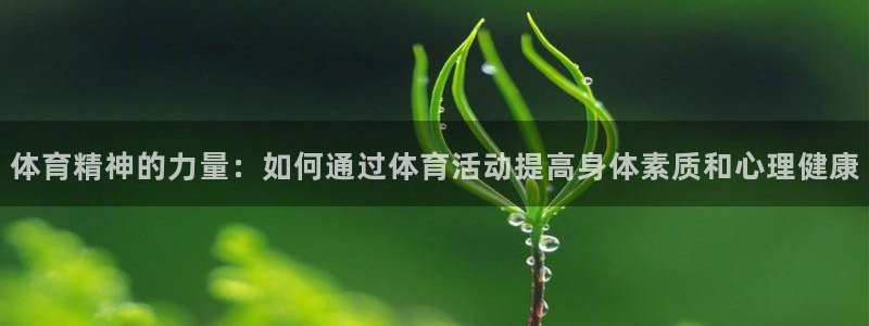 JJB竞技宝官网下载:体育精神的力量:如何通过体育活动提高身