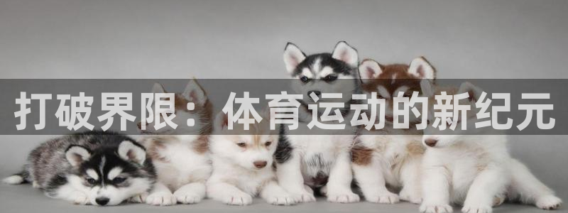 JJB竞技宝官网下载平台:打破界限:体育运动的新纪元