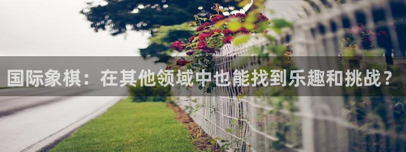 JJB竞技宝官网下载:国际象棋:在其他领域中也能找到乐趣和挑