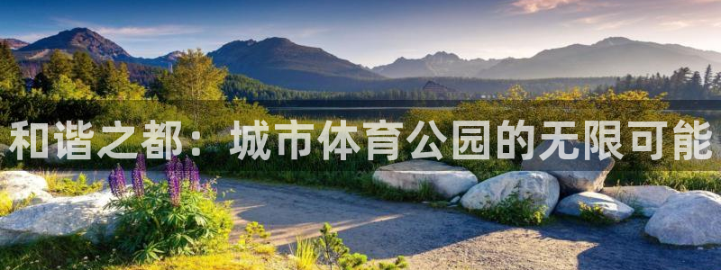 JJB竞技宝官网下载招商电话:和谐之都:城市体育公园的无限可
