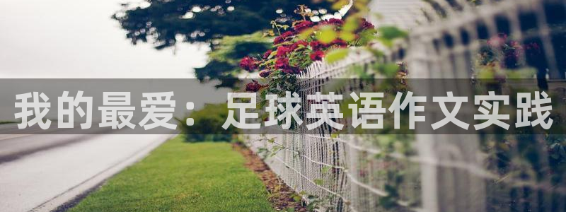 JJB竞技宝官方正版app娱乐是那个系列的台子:我的最爱:足