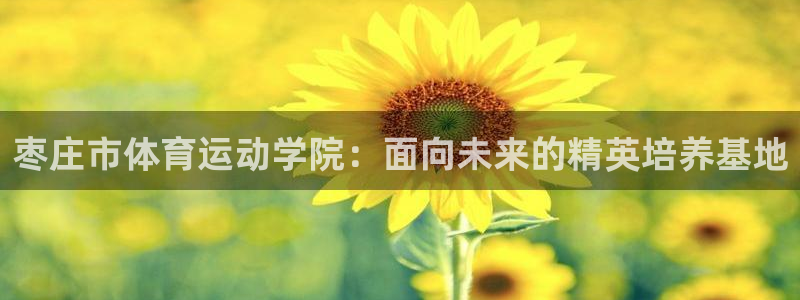 JJB竞技宝官方正版app科技:枣庄市体育运动学院:面向未来