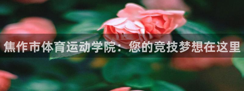 JJB竞技宝官网下载平台APP:焦作市体育运动学院:您的竞技