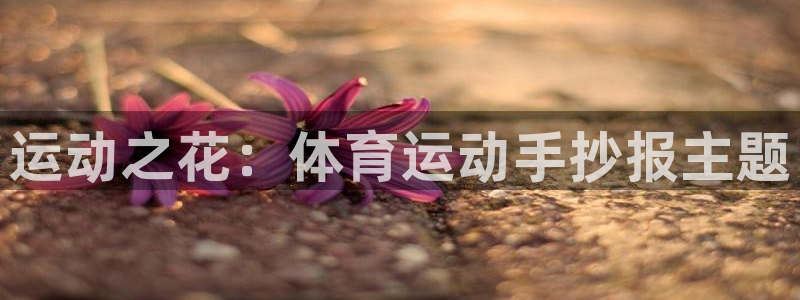 JJB竞技宝官方集团官网:运动之花:体育运动手抄报主题