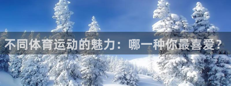 注册JJB竞技宝官方正版app:不同体育运动的魅力:哪一种你