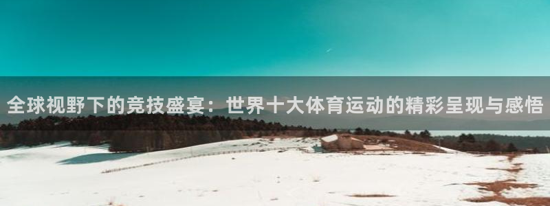 JJB竞技宝官网下载平台注册要钱吗安全吗:全球视野下的竞技盛